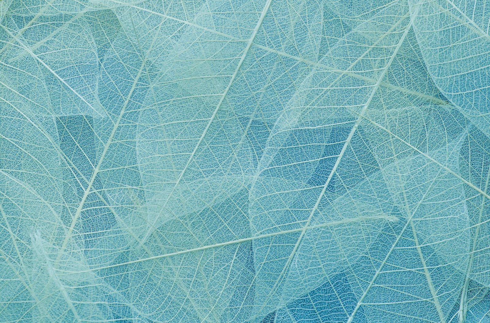 A close-up of blue mesh fabric with thin white strands crisscrossing like a net.