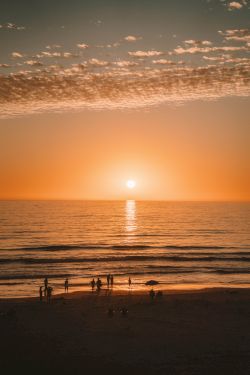 A serene sunset over the ocean with warm orange hues, a calm horizon, and silhouettes of people on the beach enjoying the moment.